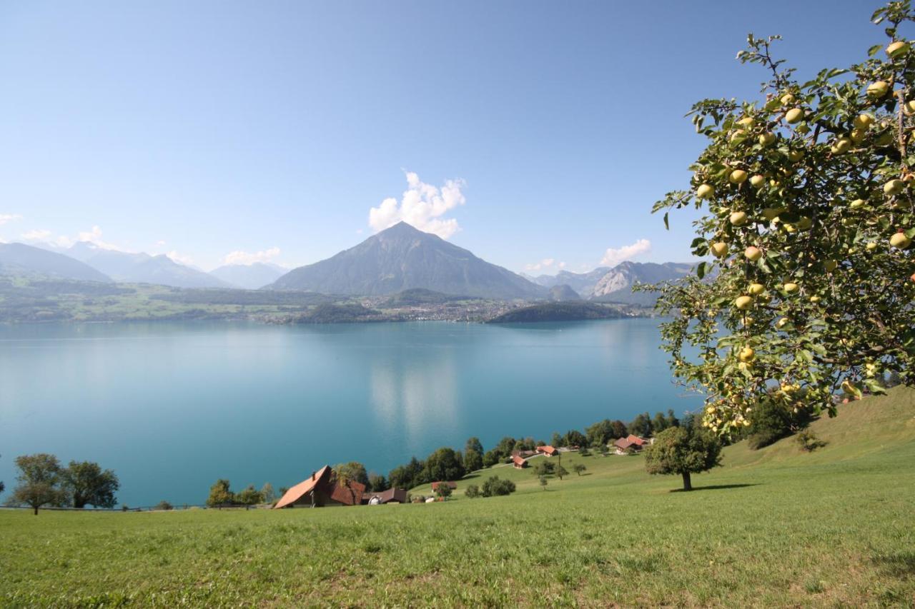 Chalet Egglen "Typical Swiss House, Best Views, Private Jacuzzi" Sigriswil Exterior foto